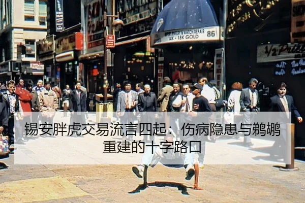 xi-an-pang-hu-jiao-yi-liu-yan-si-qi-shang-bing-yin-huan-yu-ti-hu-chong-jian-de-shi-zi-lu-kou-3-926.jpg