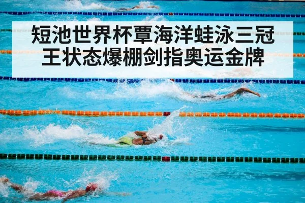 短池世界杯覃海洋蛙泳三冠王状态爆棚剑指奥运金牌